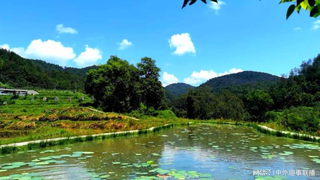 今日智能推广轻量化搭建您的协作平台,推广效率之选天王杯